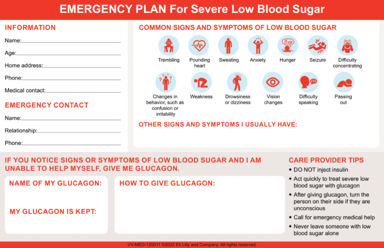 The emergency plan template